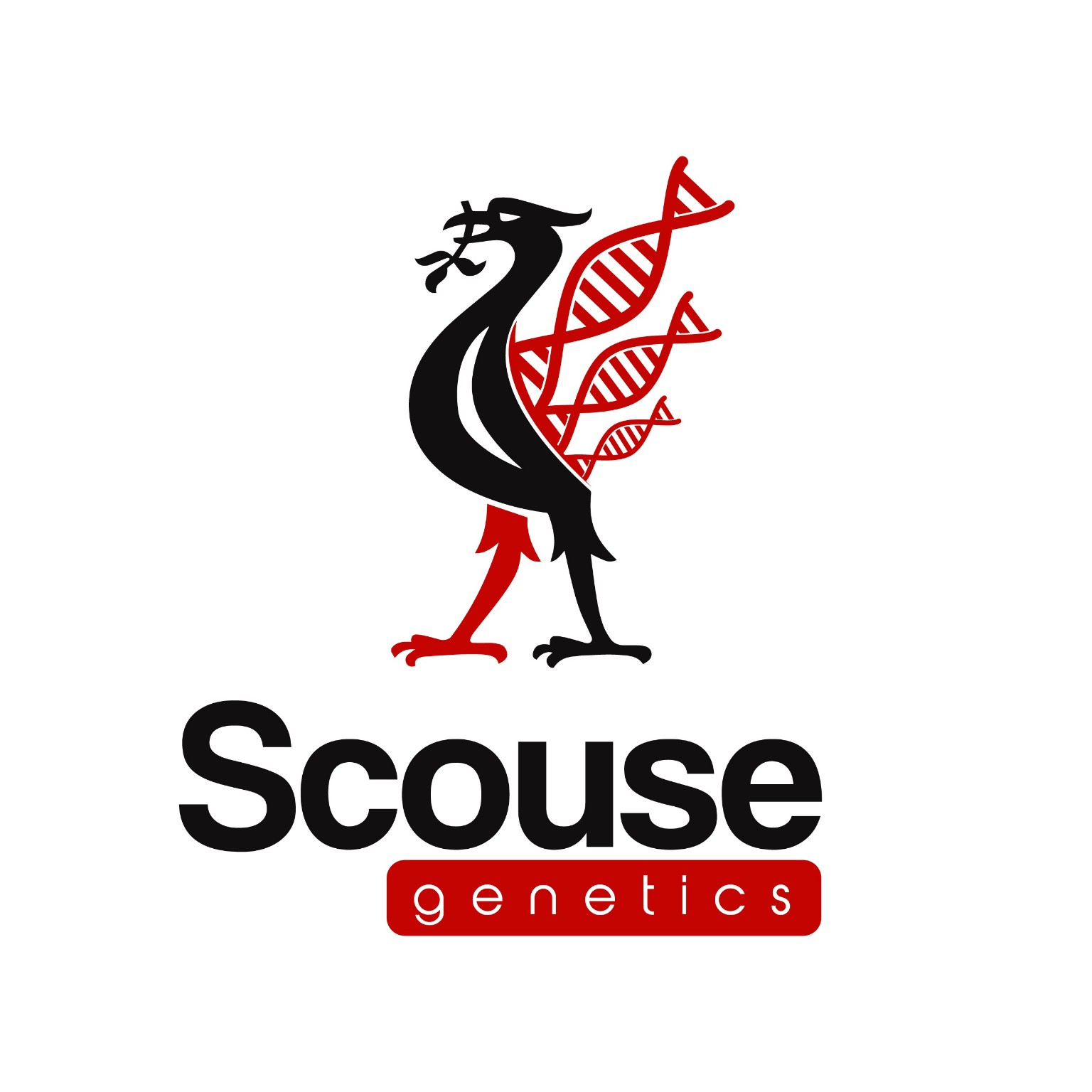 Scouse Genetics Seeds